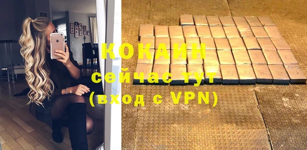 PSILOCYBIN Ростов