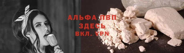 PSILOCYBIN Ростов