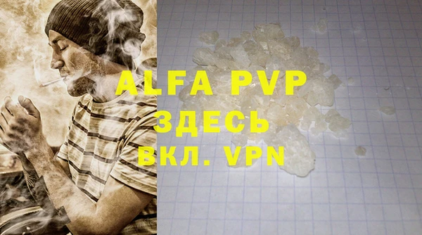 PSILOCYBIN Ростов