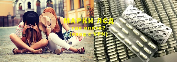 PSILOCYBIN Ростов