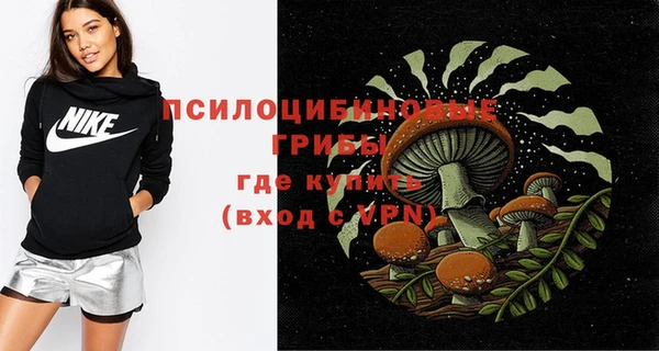 PSILOCYBIN Ростов