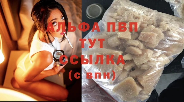 PSILOCYBIN Ростов